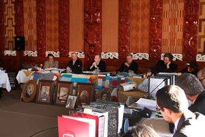 The Waitangi Tribunal wrote an interim report on Maori water rights. Photo / Mark Mitchell