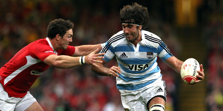 Argentina captain Juan Fernández Lobbe is keen to test himself, and his side, against the best in the world. Photo / Getty Images