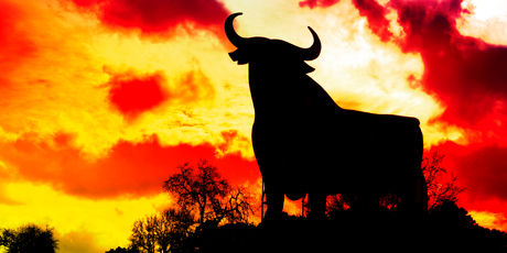 The bull is the national animal of Spain. Photo / Thinkstock