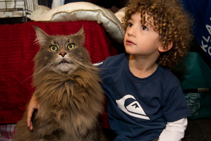 3-year-old Santaigo Falla hanging out with one of the largest cats in New Zealand. Photo / Sarah Ivey