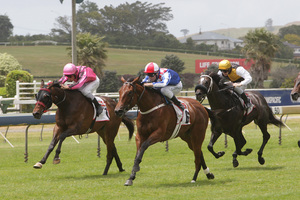 Xanadu, No 6, was paying $9 yesterday as an outside chance in the Makfi Challenge Stakes.