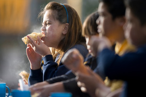 The panel said a food in schools programme was a good interim measure. Photo / Richard Robinson