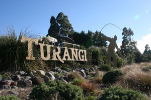 Local iwi want 14 of the town's 84 street names and three reserve names changed. Photo / Supplied