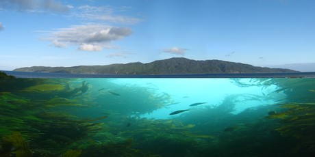 Planners will be able to crunch a wide range of data when mapping potential areas for aquaculture sites or marine reserves. Photo / Kapiti News