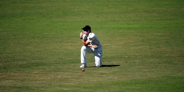 Policymakers hope other nations don't drop the ball. Photo / APN