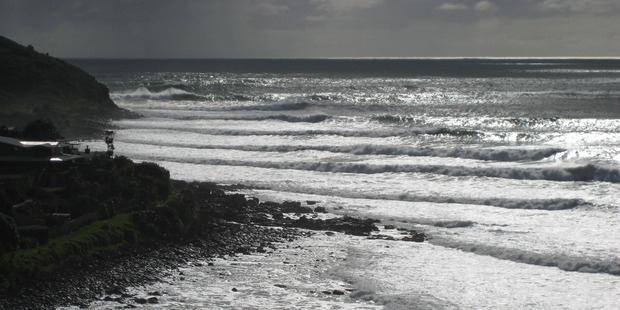 Tim Rainger, founder of Kiwis Against Seabed Mining, believes the cumulative impact of strip-mining operations on the west coast would be an 'ecological tragedy'. Photo / Northern Advocate
