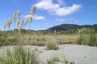 Barn Bay, near Haast, Westland. Photo / Supplied