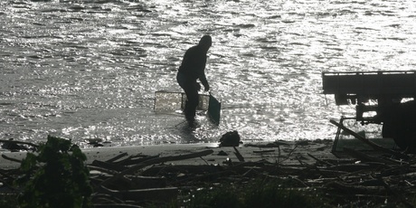 Rangers did not catch anybody netting whitebait before the season opened. Photo / APN