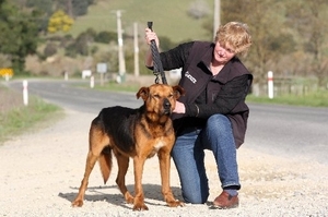 SPCA inspector Lesley Gibson, at the site where the dog died, demonstrating how short the lead should be on animals travelling on the back of vehicles. Photo / File