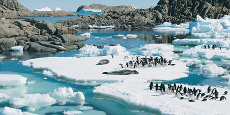 Scientists believe organic matter from Antarctica's rich biological history may have been converted to methane. Photo / Thinkstock