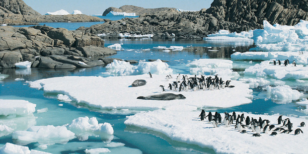 Scientists believe organic matter from Antarctica's rich biological history may have been converted to methane. Photo / Thinkstock
