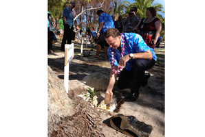 John Key was the first leader to get his mahogany sapling in the ground and appeared happy with his efforts, saying he expected his tree to grow tall and strong. Photo / Claire Trevett