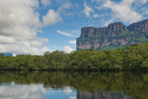 Photo / Thinkstock