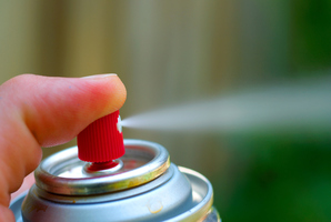 A tagger fell asleep in his car at the scene of the crime, police say. Photo / Thinkstock