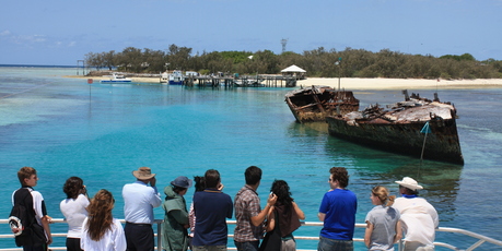 Visitors to Heron Island arrive to a welcome of 100,000 black noddy terns. Photo / Paul Rush
