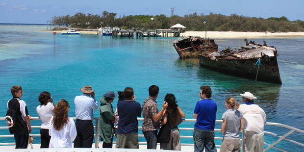 Visitors to Heron Island arrive to a welcome of 100,000 black noddy terns. Photo / Paul Rush