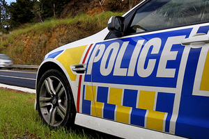 The 25-year-old tourist was picked up by police at Little River yesterday. Picture / File