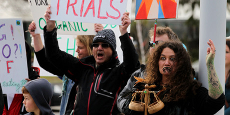 Anti-GM demonstrators get their message across outside the conference yesterday. Photo / Alan Gibson