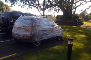 A nice surprise. Photo / Supplied