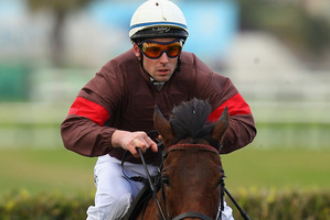 Three trips over the fearsome Ellerslie Hill has taken the finest riders close to exhaustion Ima Heroine can win her second successive Great Northern. Photo / Phil Walter