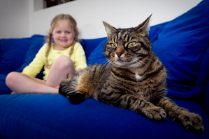 Scarlett Hayes, 4, is keeping an eye on her uncle's cat. Photo / Natalie Slade