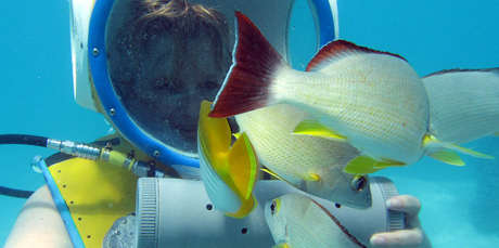 The fish follow the food trail and the underwater walkers follow the fish. Photo / Megan Singleton