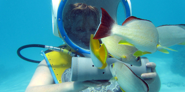 The fish follow the food trail and the underwater walkers follow the fish. Photo / Megan Singleton
