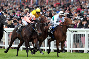 Black Caviar (left) wins the Diamond Jubilee at Royal Ascot in June. Photo / Steve Parsons