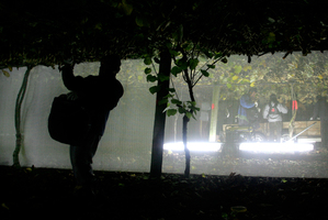 Immigration NZ has launched a probe into the organised use of international students as a front for illegal labour scams. Photo / Alan Gibson