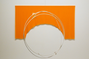 'Fanta Silver and Song' 2011 by Sriwhana Spong. On display at Auckland Art Gallery. Photo / NZ Herald