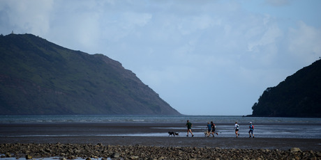 Auckland tourism promoters are launching a new campaign to get more domestic tourists to visit. Photo / Running in the Waitakeres Supplied