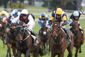 Indikator (left) and Marea Alta are chances in race 8 at Ellerslie today. Photo / APN