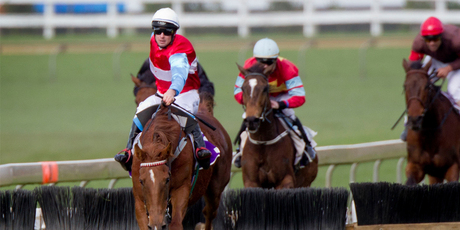 Southern Countess (left) had few problems winning the lead-up to the Great Northern Hurdles at Ellerslie a fortnight ago. Picture / Sarah Ivey