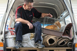 Carpet Court contractor Kerry Bell checks up on his uninvited hitchhiker at the Otago SPCA. Photo / Craig Baxter