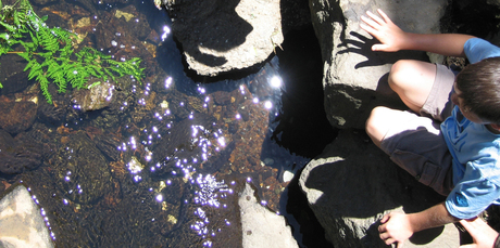 Eels captivate the attention of children and are a great tool for learning more about our waterways. Photo / Supplied