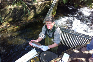 Turangi Trout Hatchery taken with the Nokia Pureview 808. Photo / Juha Saarinen