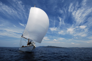 Photo / Thinkstock