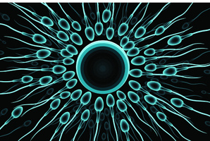 Ovary screening tests aren't recommended routinely for women who do not show signs of the disease.
Photo / Thinkstock