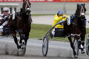 Major Mark (right) is a top chance at Oamaru on Sunday.Picture / Christine Cornege