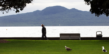 We love you, Rangitoto. Photo / Natalie Slade