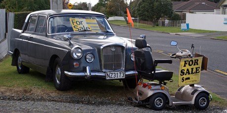 An unlikely pair of road users. Photo / Supplied