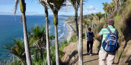 The Te Araroa and DoC cliff top walks along to Mangawhai Heads. Photo / Supplied