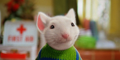 The mouse shown in the episode of The Ridges appeared to be a very distant cousin of the famous Stuart Little. Photo / Supplied