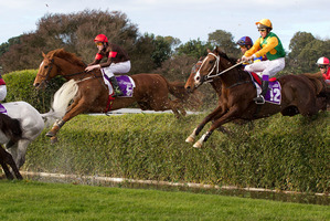 Shaun Phelan gets Tom's Myth over the water jump. Photo / Sarah Ivey