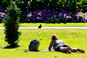 Albert Park: a painter's paradise. Photo / Martin Sykes