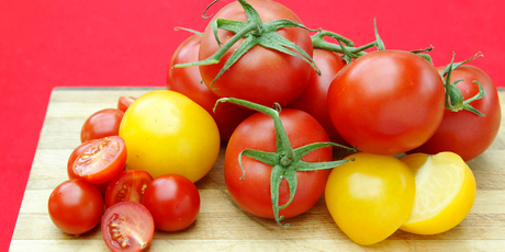 Tomatoes are pretty easy to grow, which is probably why they are so popular. Photo / Babiche Martens