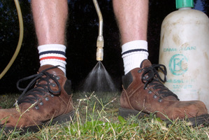An advertisement for weed sprayers said that "this job is not for wimpy, feint hearted (sic), soft, 'run to mummy halfwits' with pants halfway down their bottoms". File photo / Hawke's Bay Today