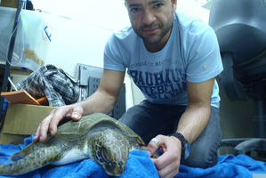 Aquarist Matt Harvey with Trev the turtle. Photo / Supplied