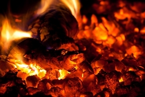 Photo / Thinkstock