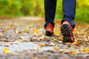 A man's attempt to hike the length of New Zealand has ended before he left Northland. Photo / Thinkstock